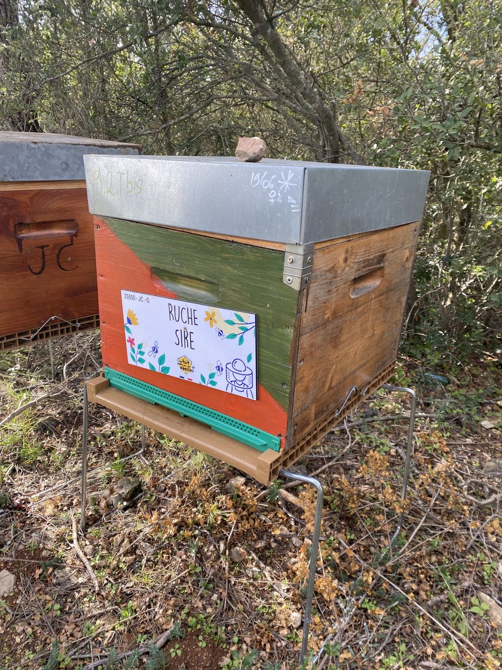 La ruche Sire