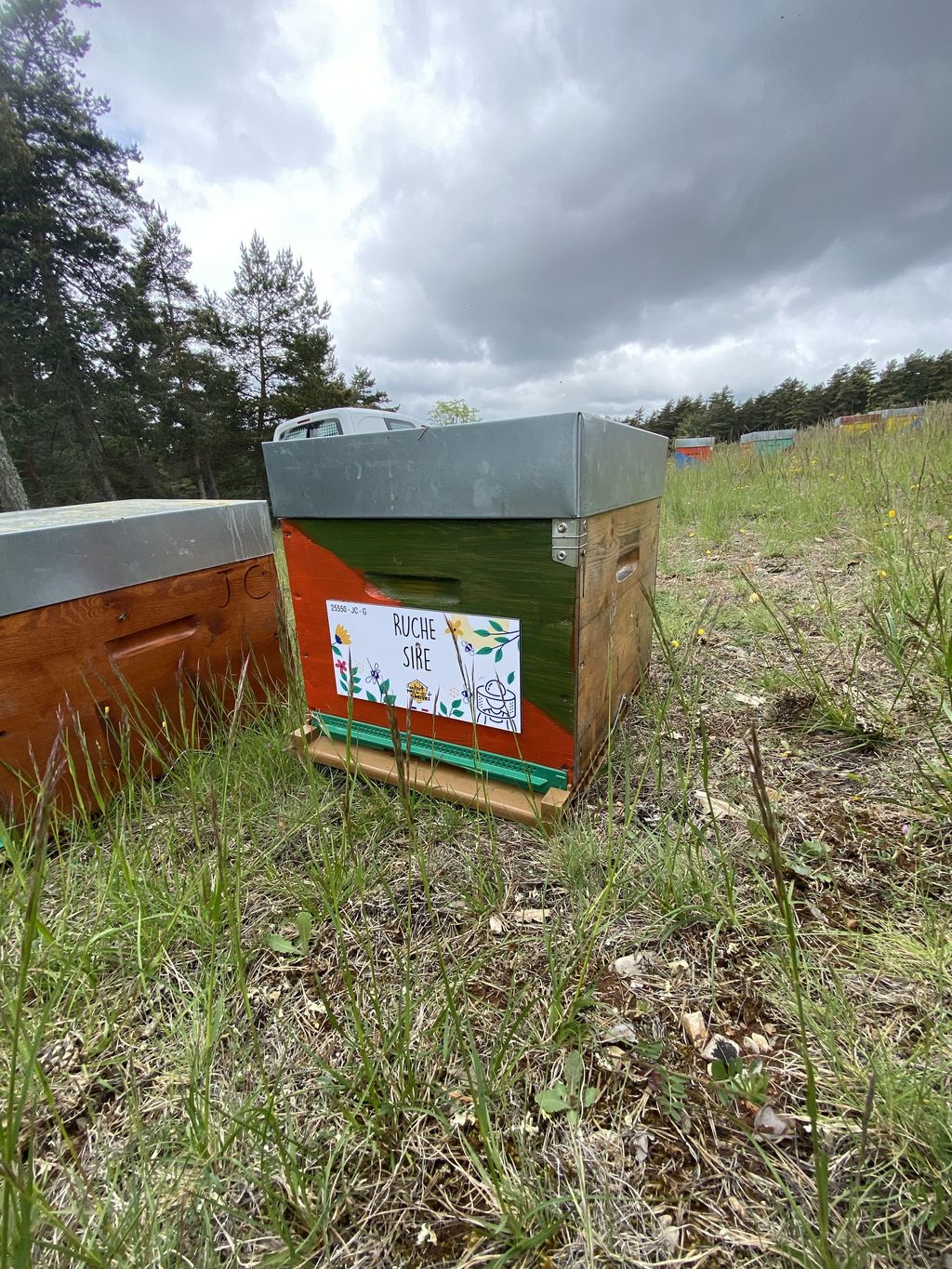 La ruche Sire