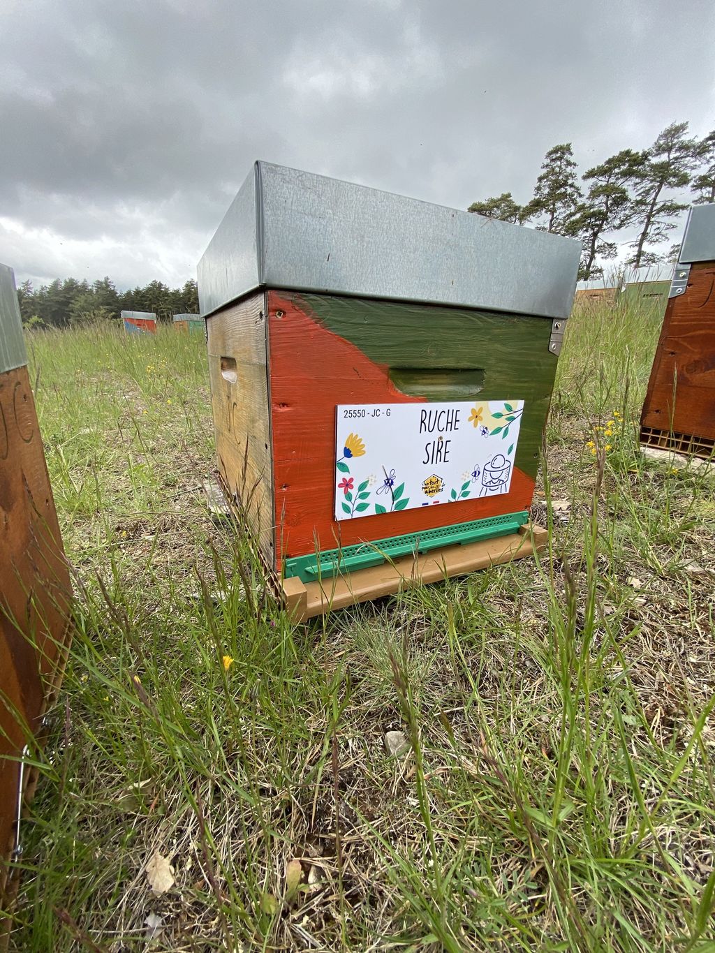 La ruche Sire