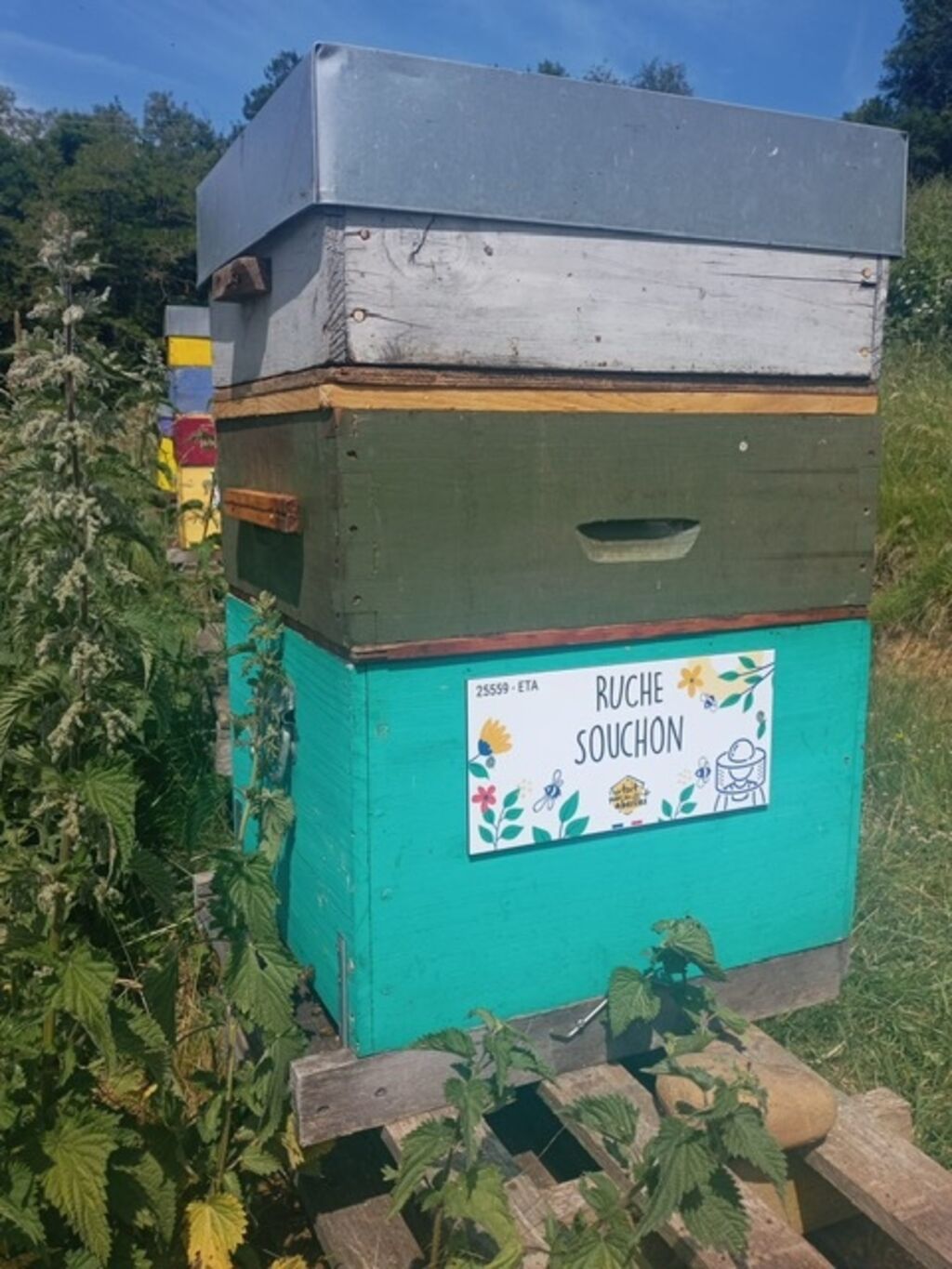 La ruche Souchon