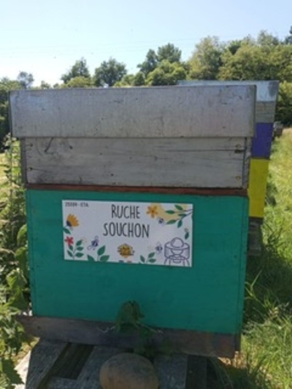 La ruche Souchon