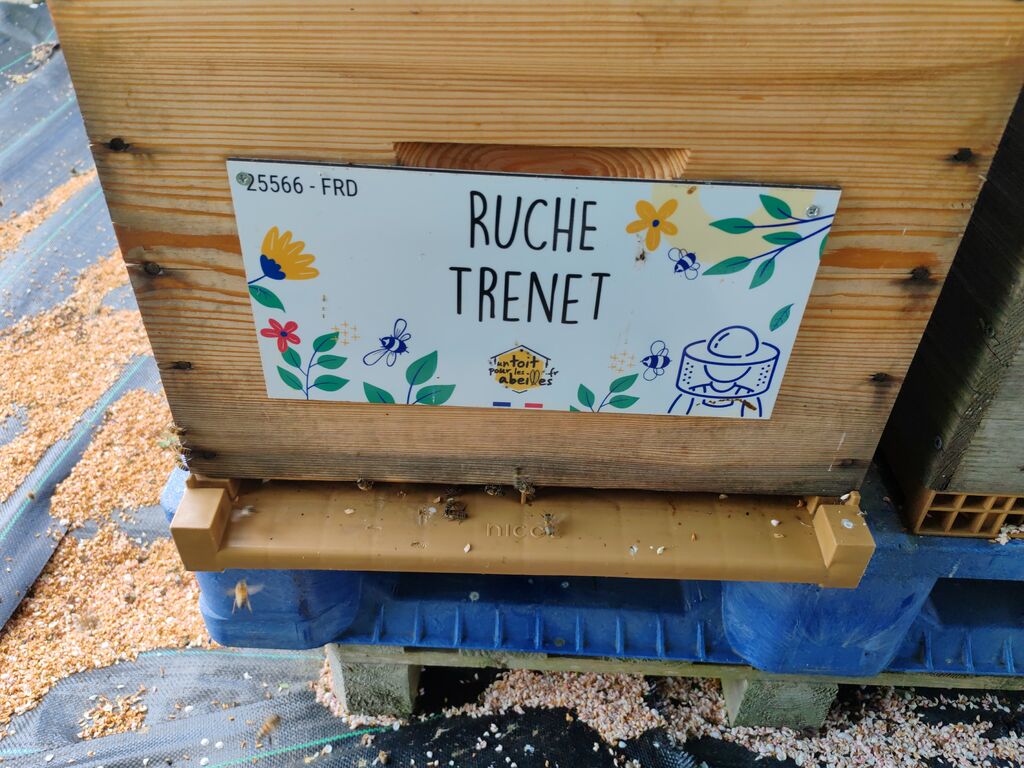 La ruche Trenet