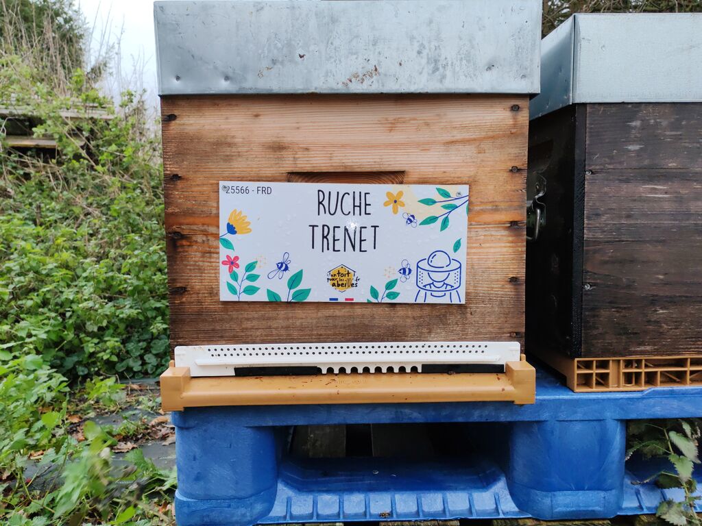 La ruche Trenet