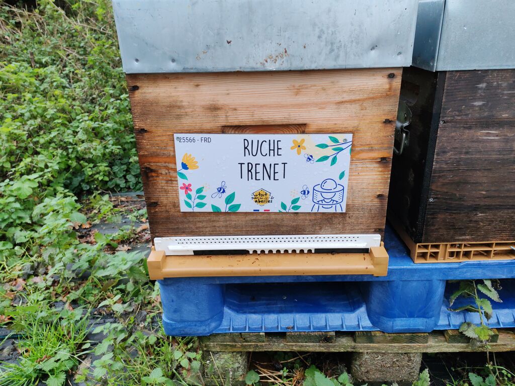 La ruche Trenet