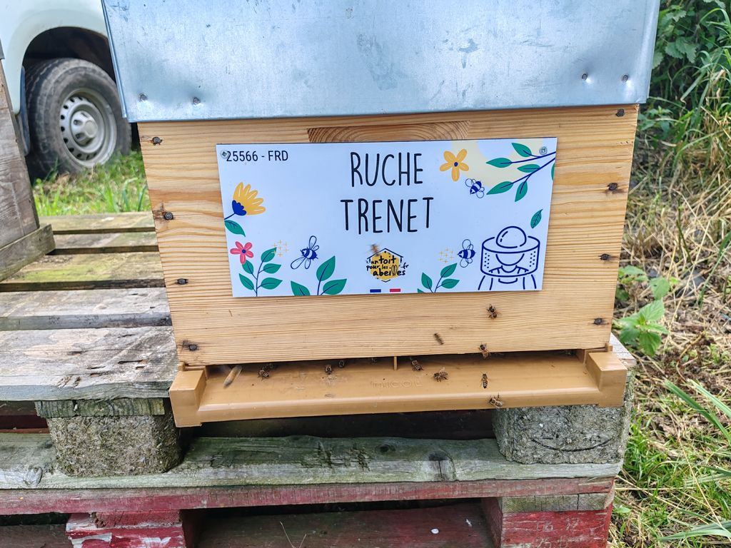 La ruche Trenet