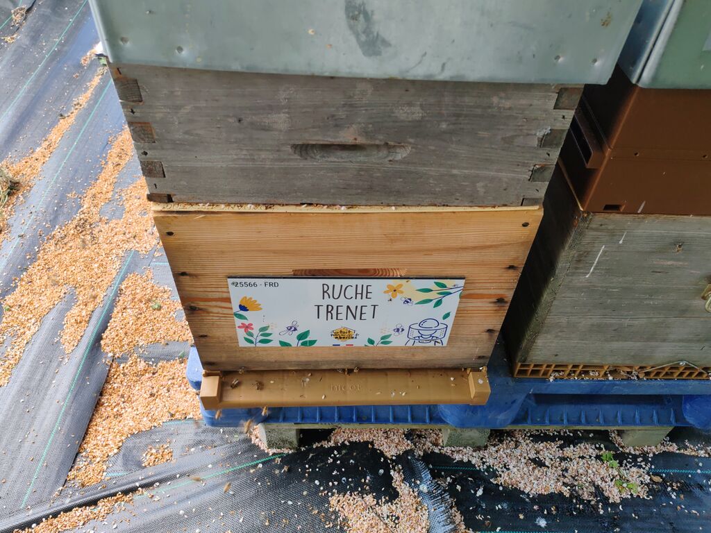 La ruche Trenet