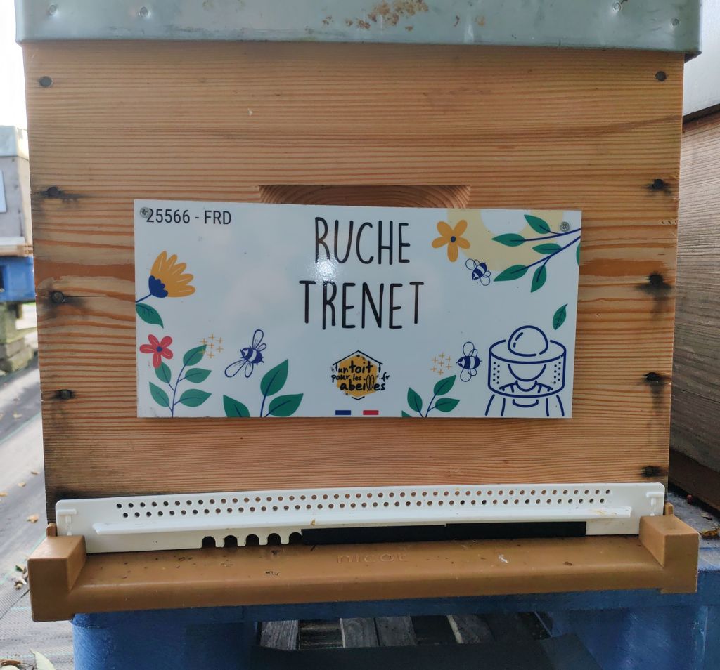 La ruche Trenet