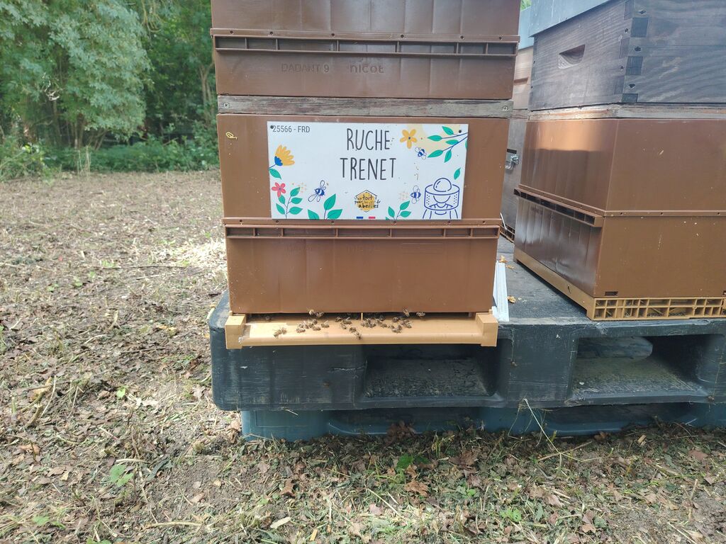 La ruche Trenet