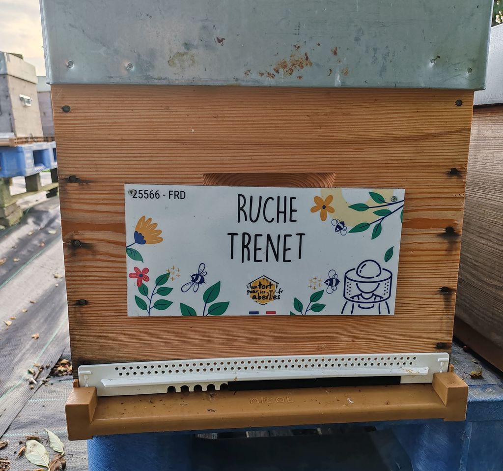 La ruche Trenet