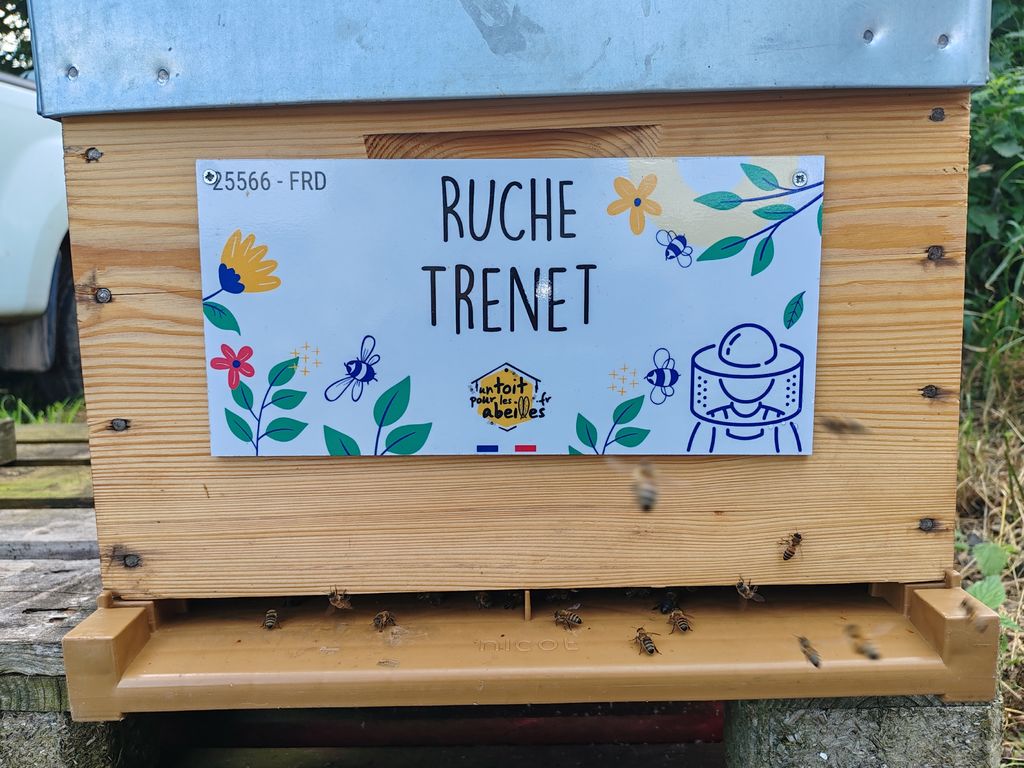 La ruche