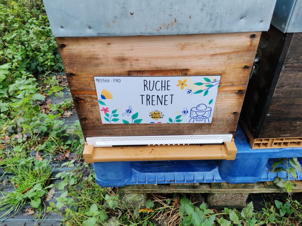 La ruche Trenet