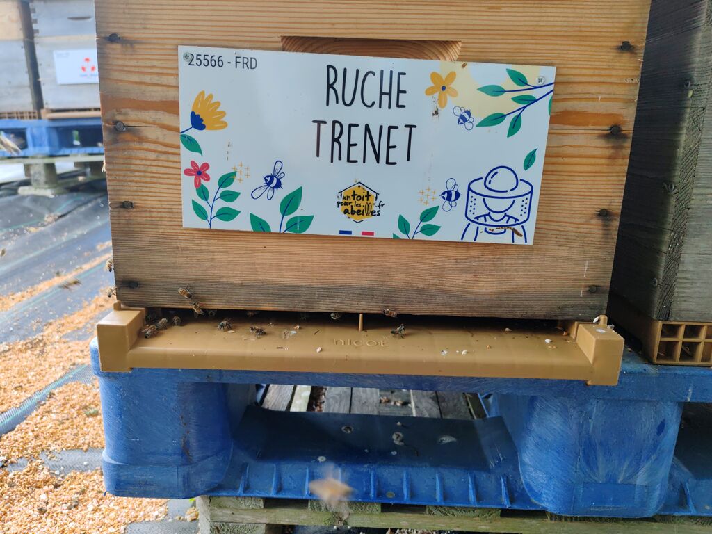 La ruche Trenet