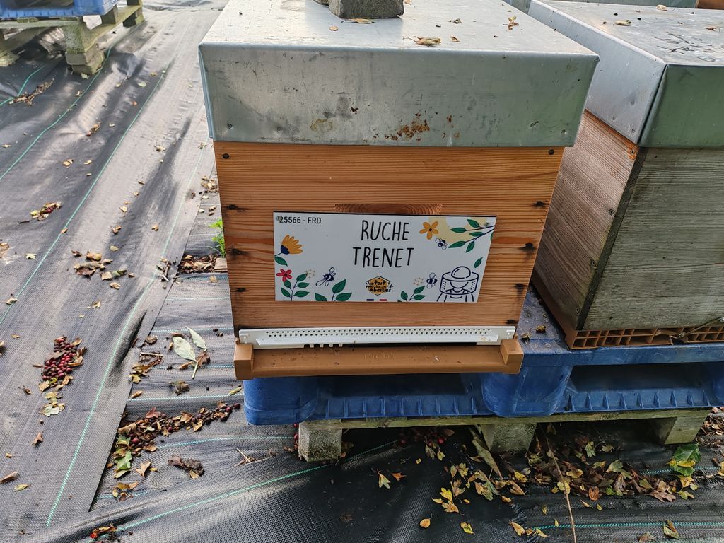 La ruche Trenet