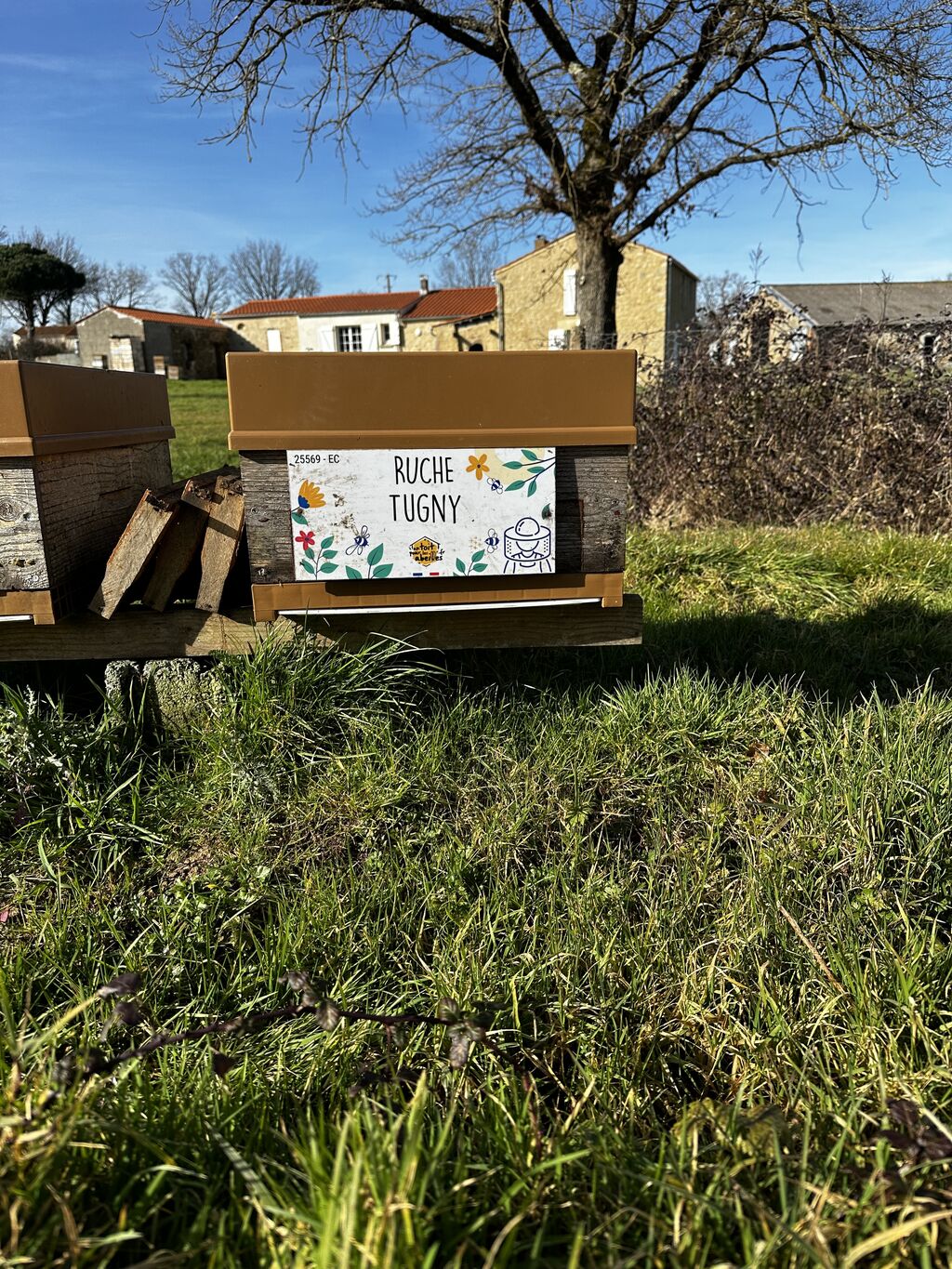 La ruche Tugny