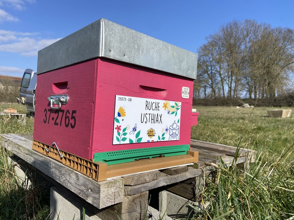 La ruche Usthiax