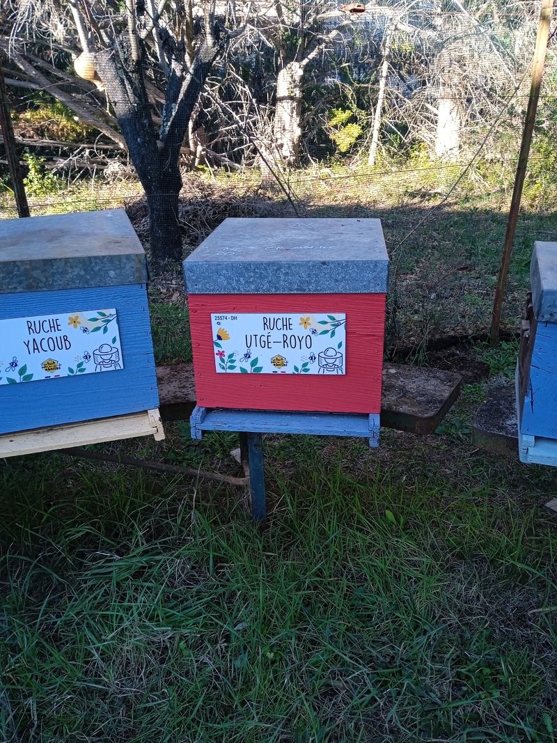 La ruche Utgé-Royo