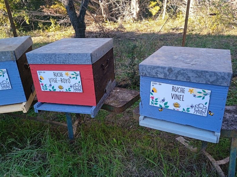 La ruche Utgé-Royo