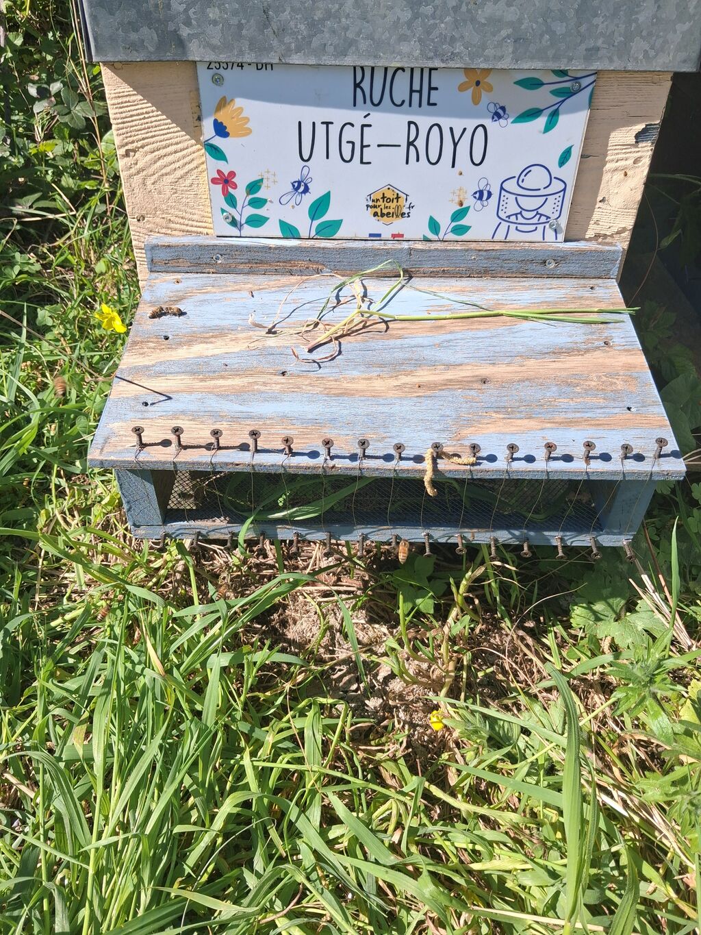 La ruche Utgé-Royo
