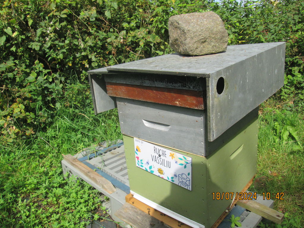 La ruche Vassiliu