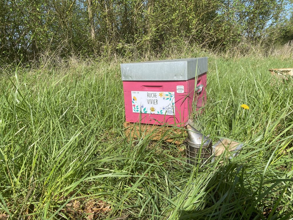 La ruche Vivier