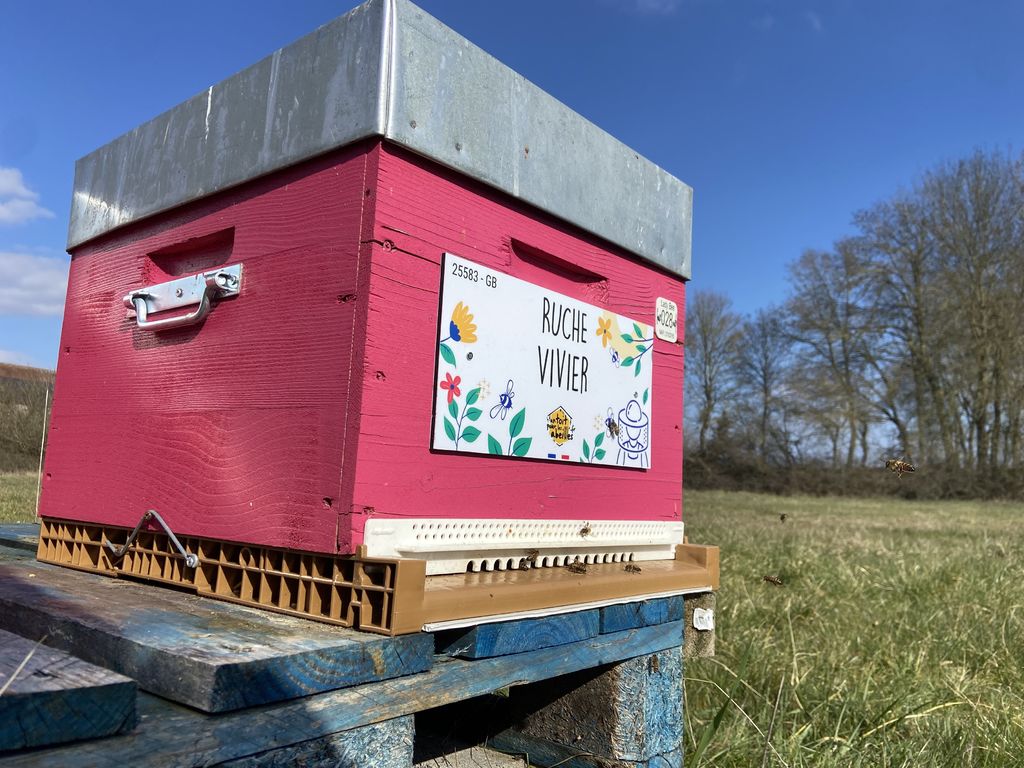 La ruche Vivier