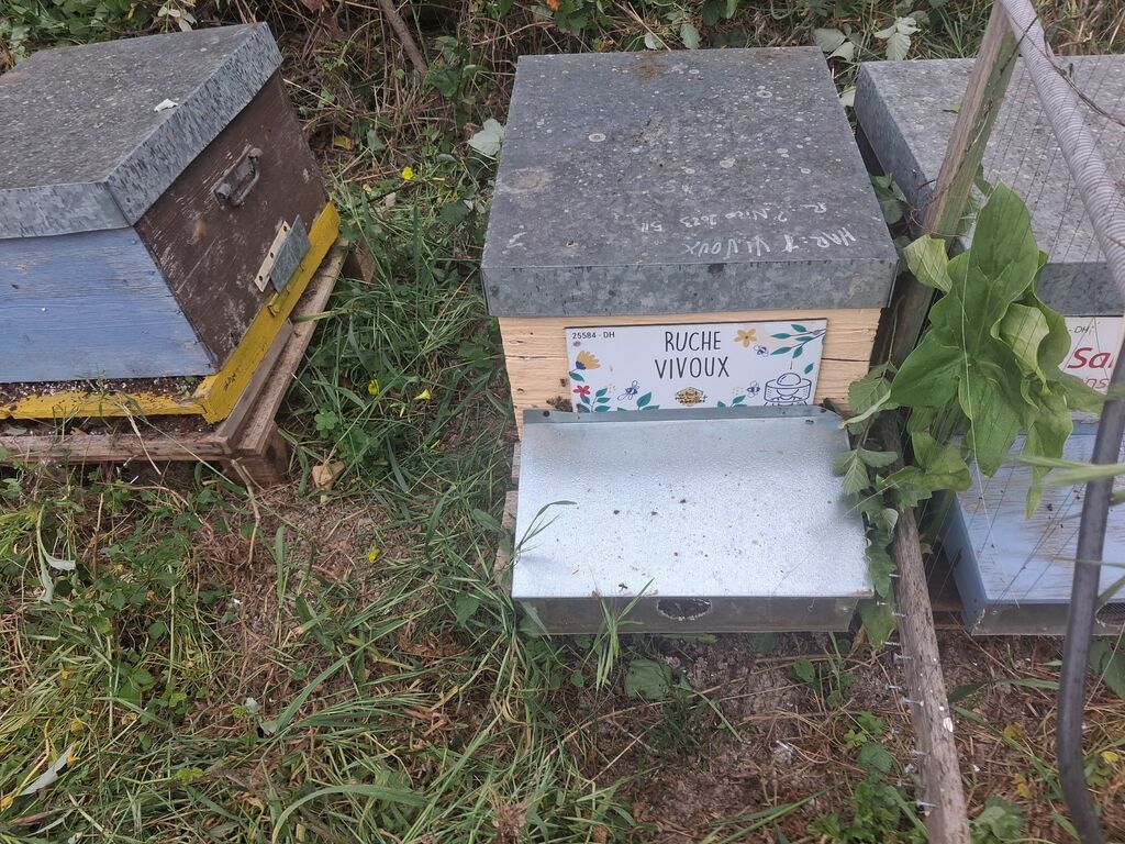 La ruche Vivoux