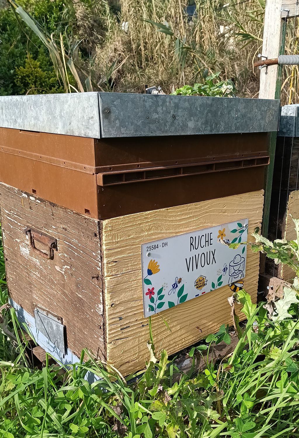 La ruche Vivoux