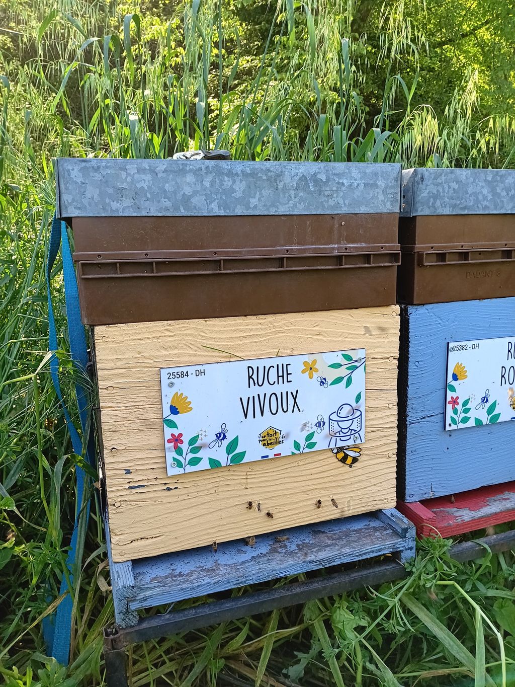 La ruche Vivoux