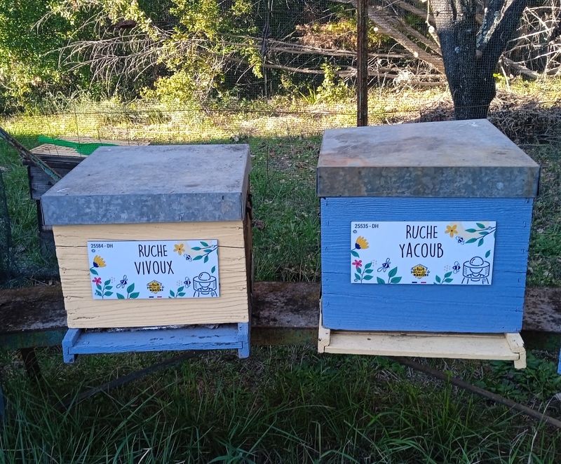 La ruche Vivoux