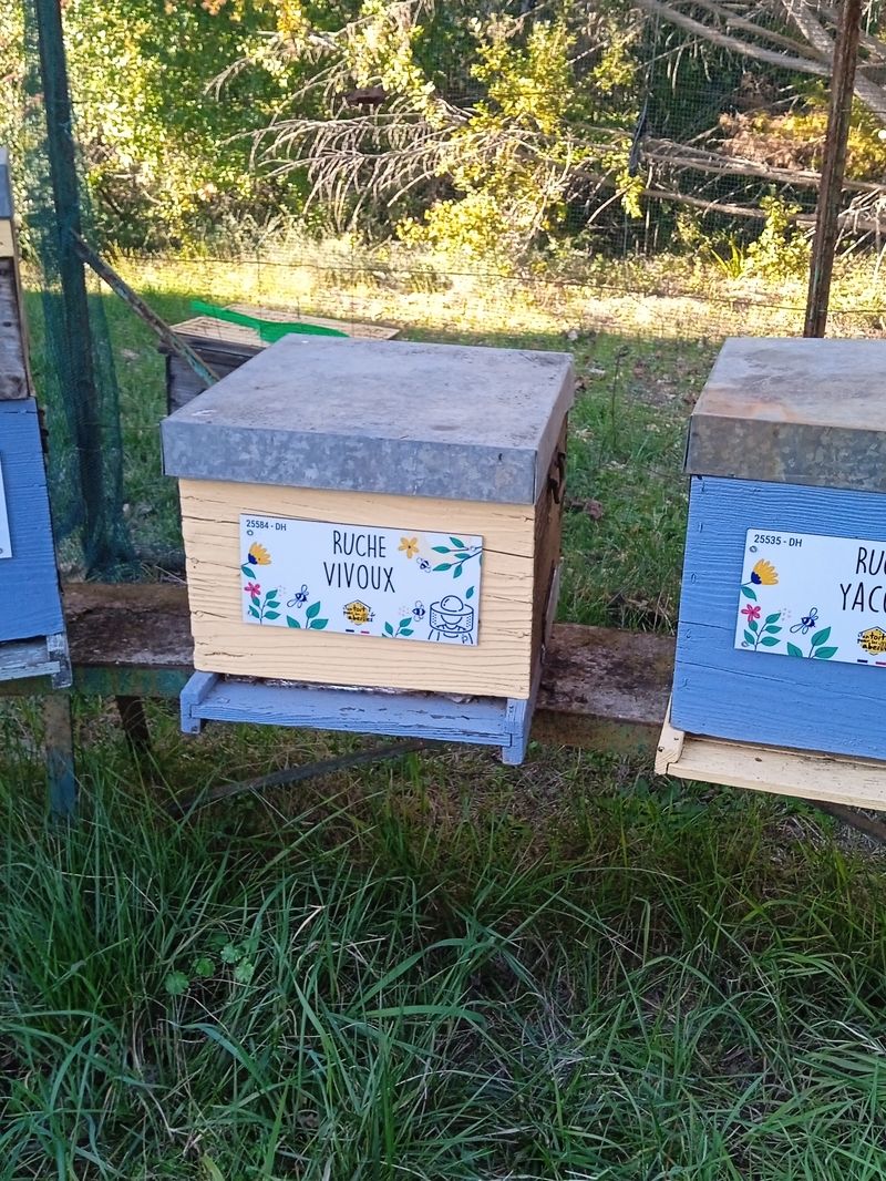 La ruche Vivoux