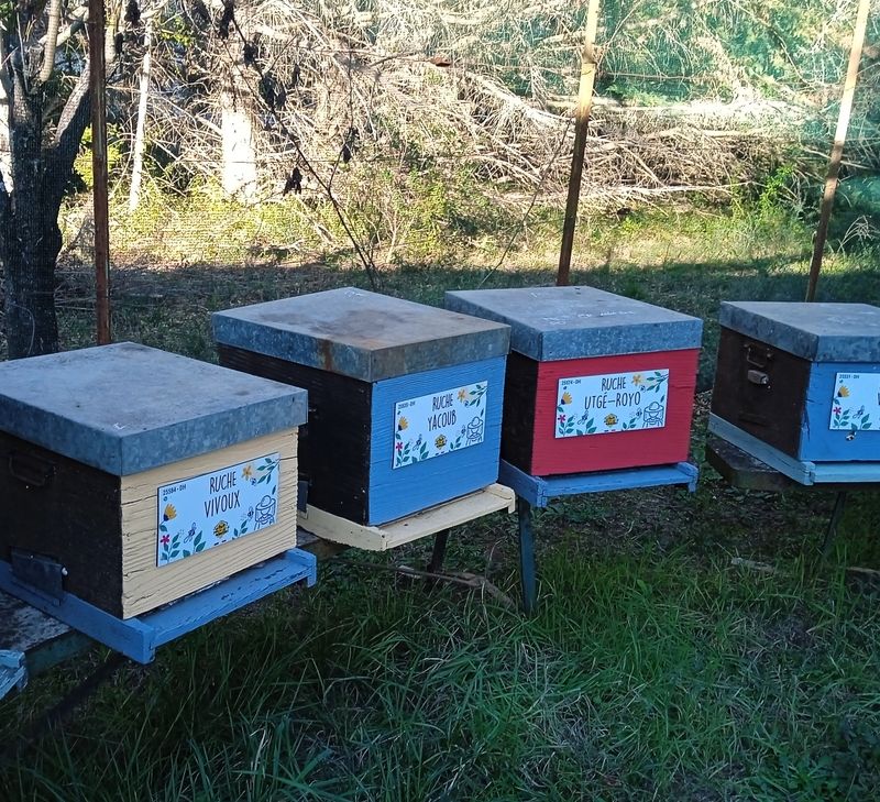 La ruche Vivoux