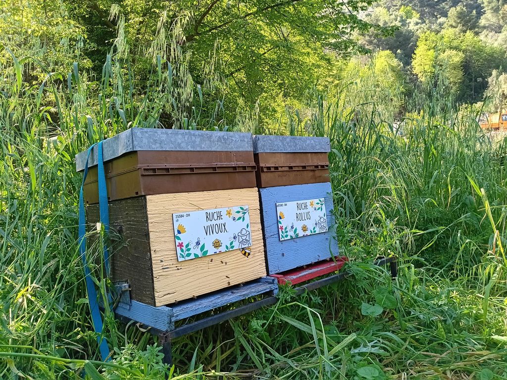 La ruche Vivoux