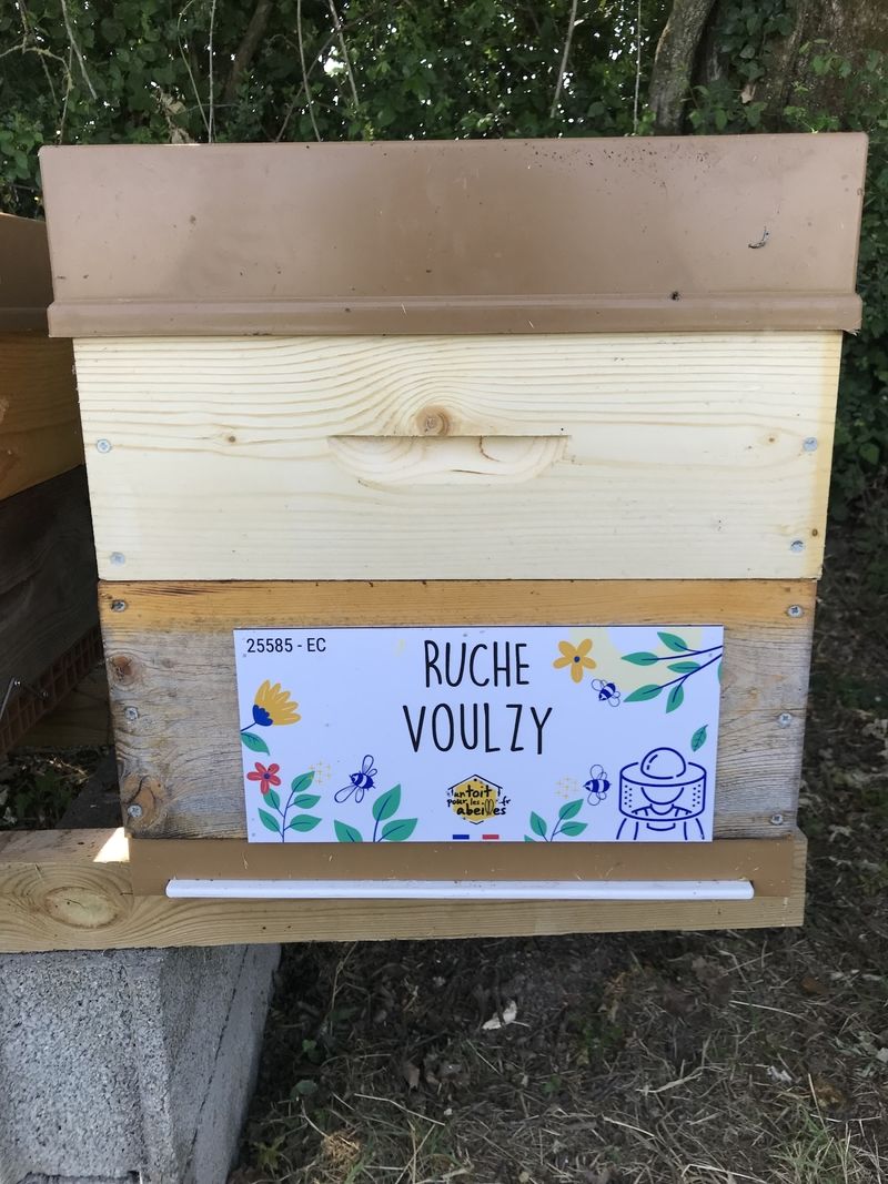 La ruche Voulzy