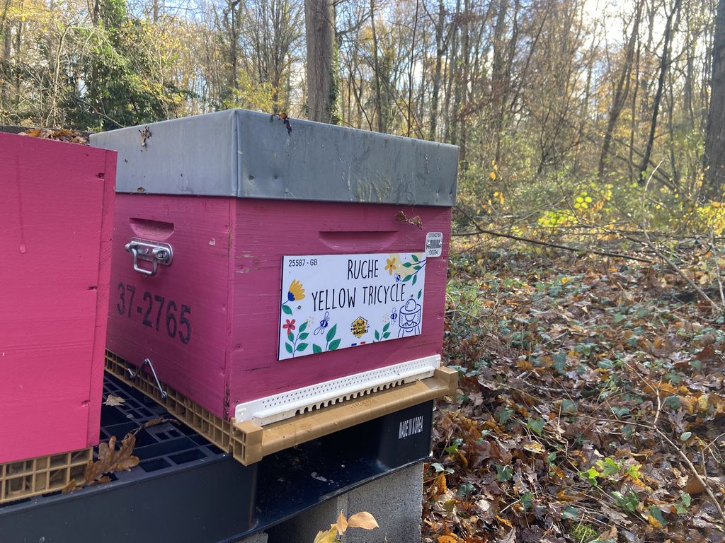 La ruche Yellow Tricycle