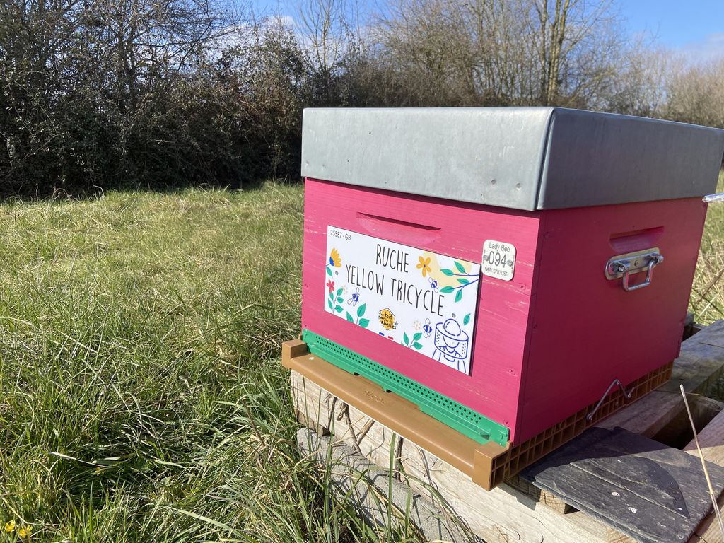 La ruche Yellow Tricycle