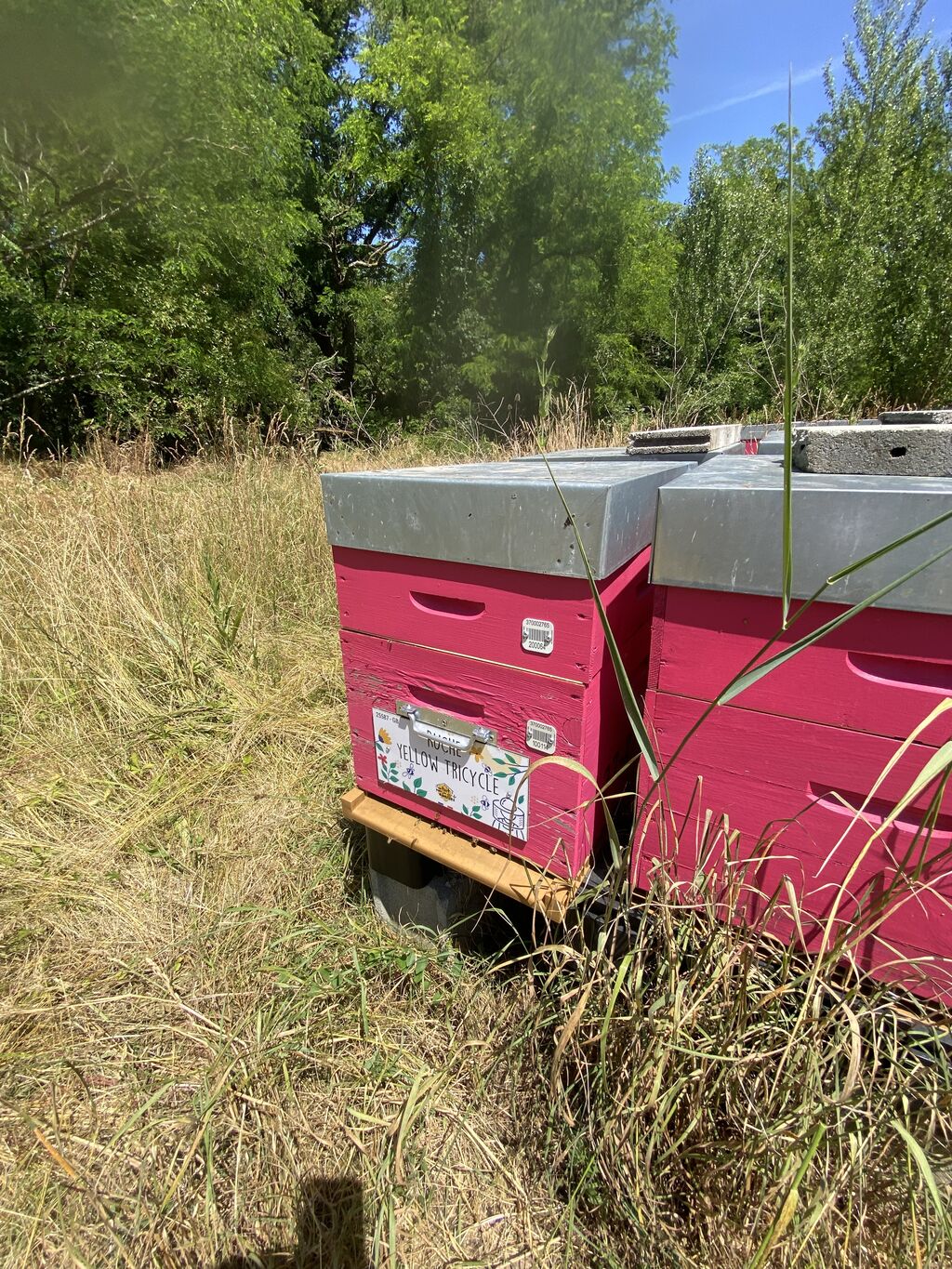 La ruche Yellow Tricycle