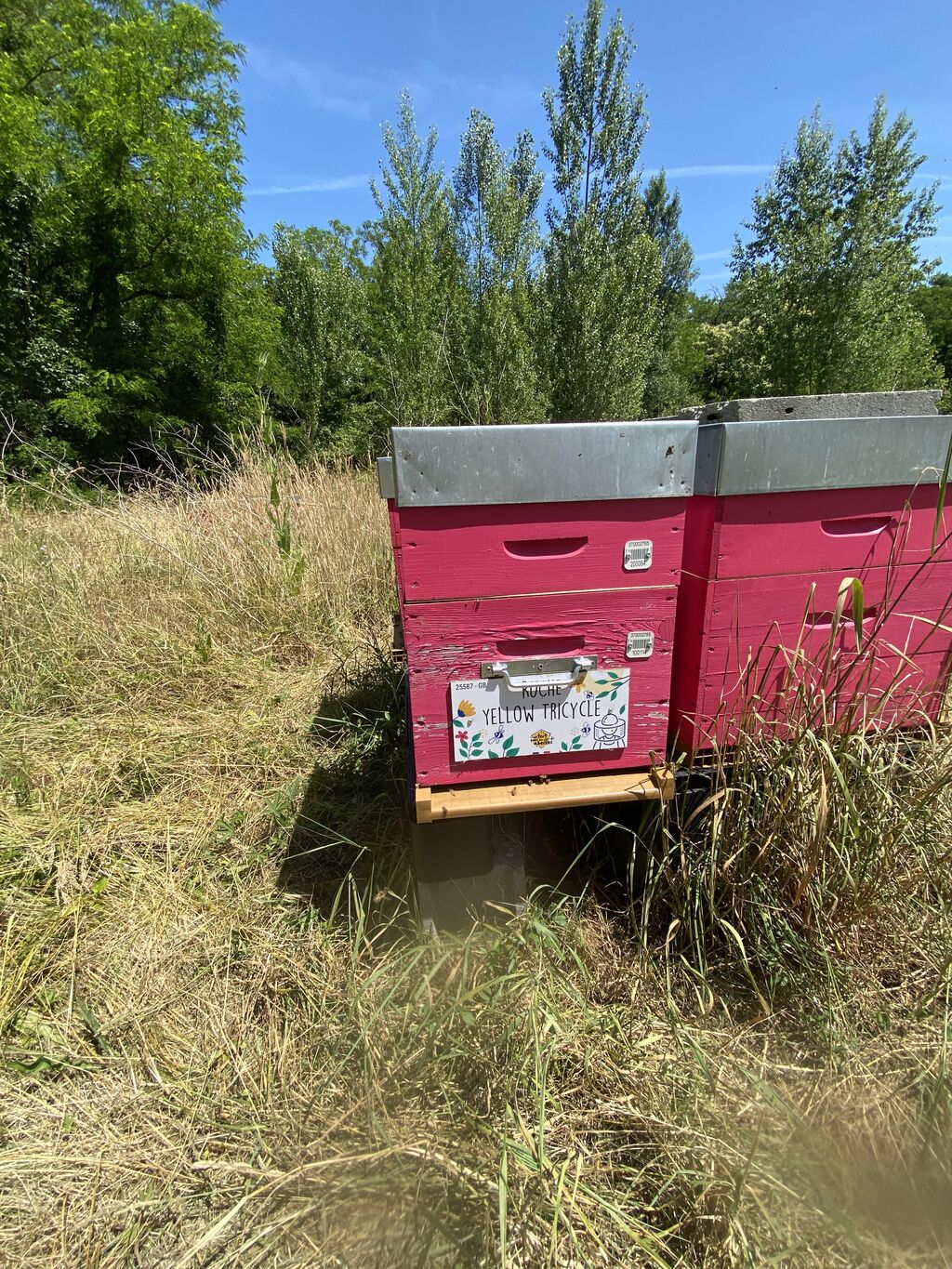La ruche Yellow Tricycle