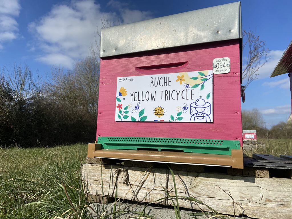 La ruche Yellow Tricycle