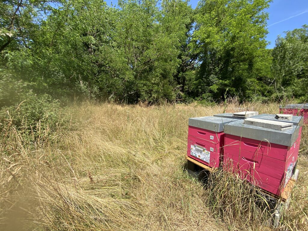 La ruche Yellow Tricycle