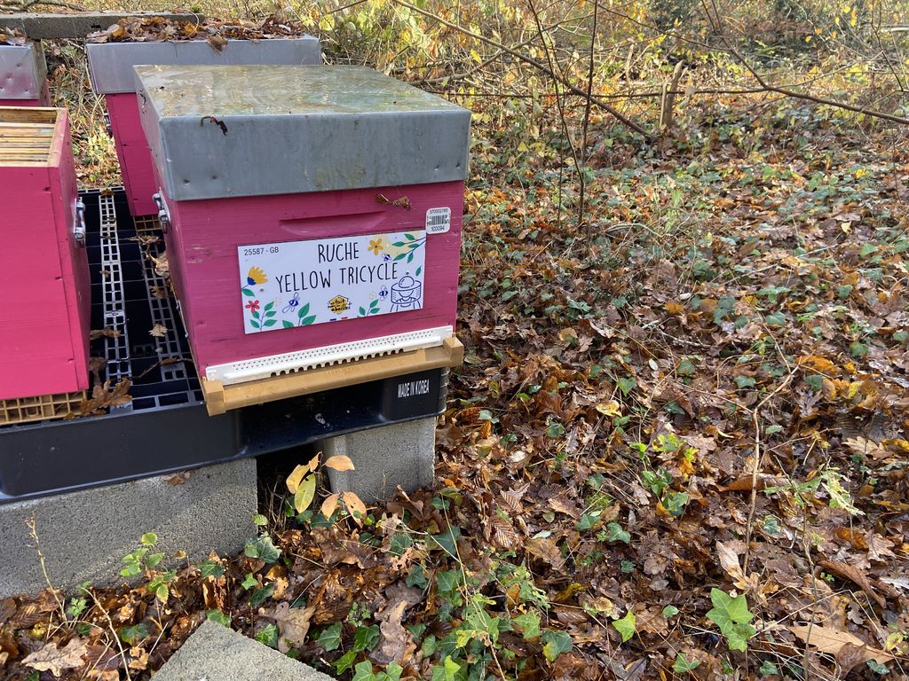 La ruche Yellow Tricycle