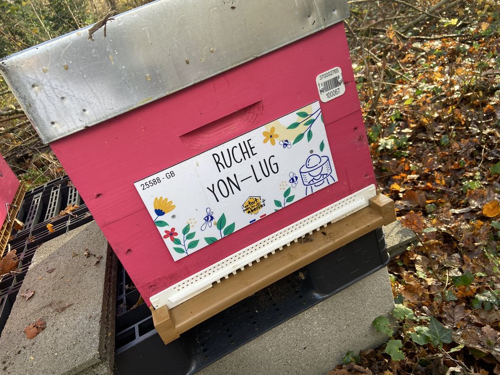 La ruche Yon-Lug