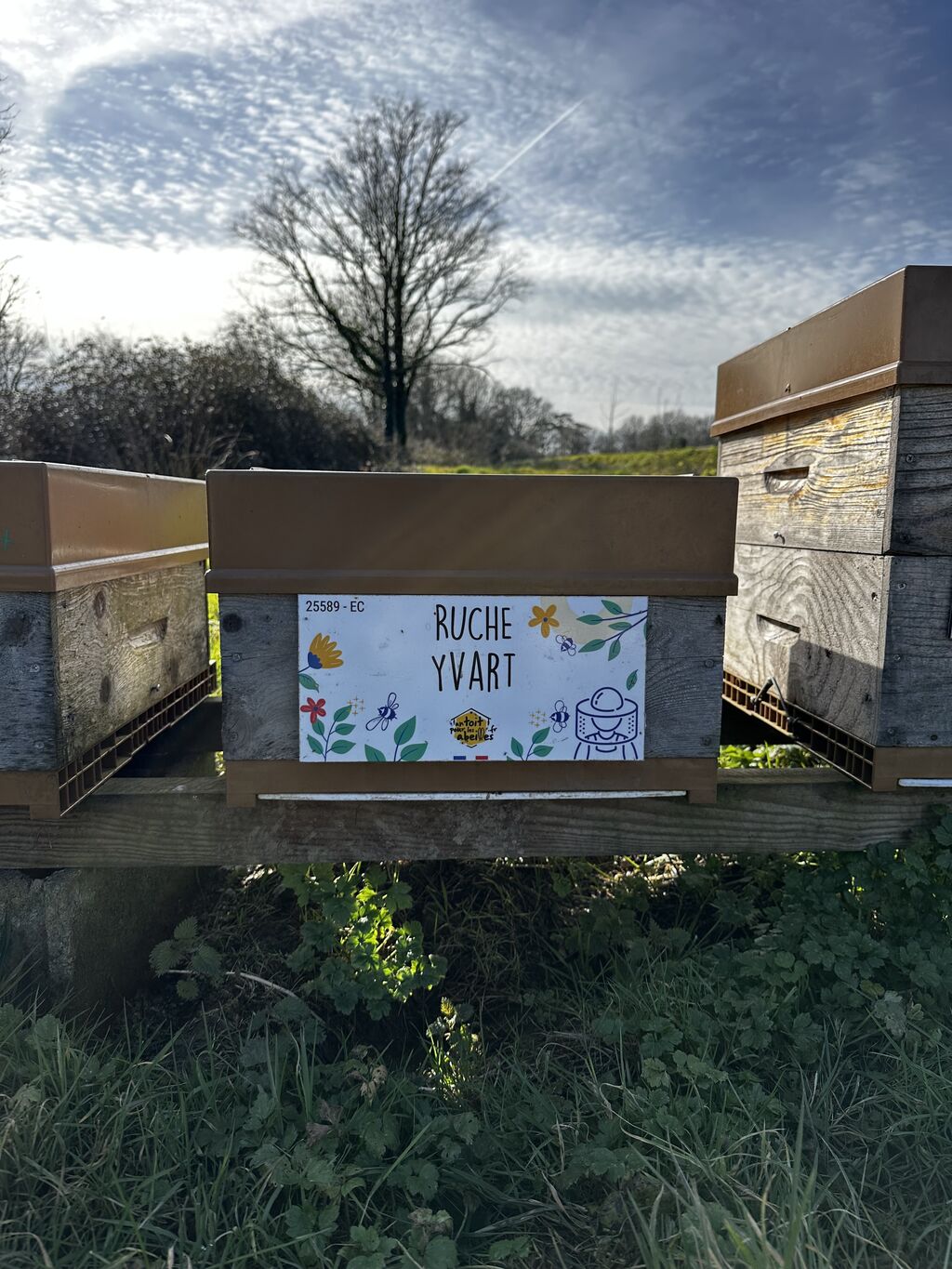 La ruche Yvart