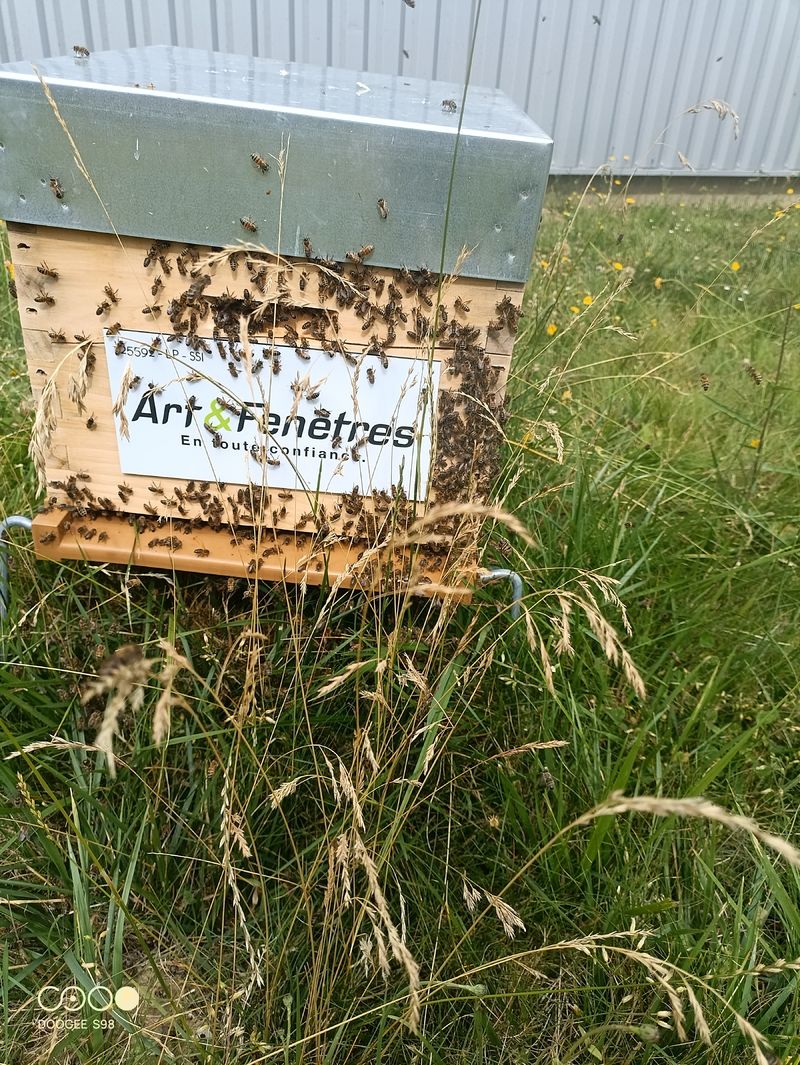 La ruche ART ET FENETRES 