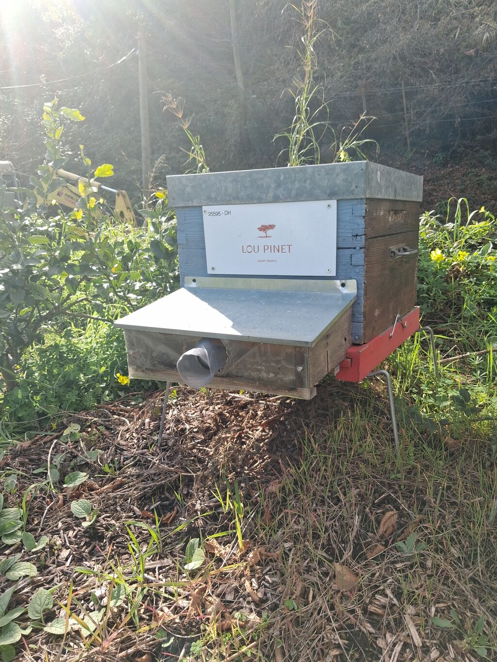 La ruche LOU PINET SAINT-TROPEZ
