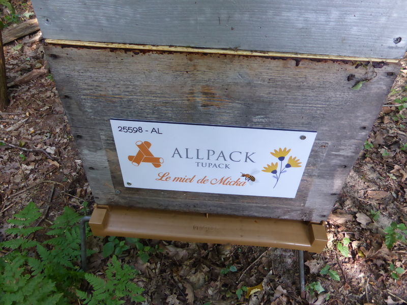 La ruche ALLPACK - TUPAK