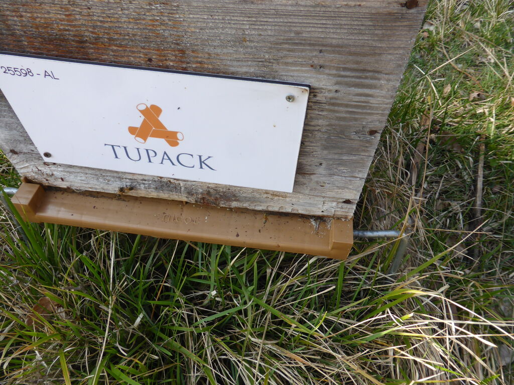 La ruche ALLPACK - TUPAK