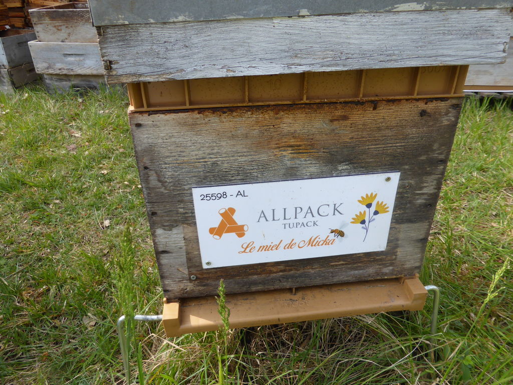 La ruche ALLPACK - TUPAK