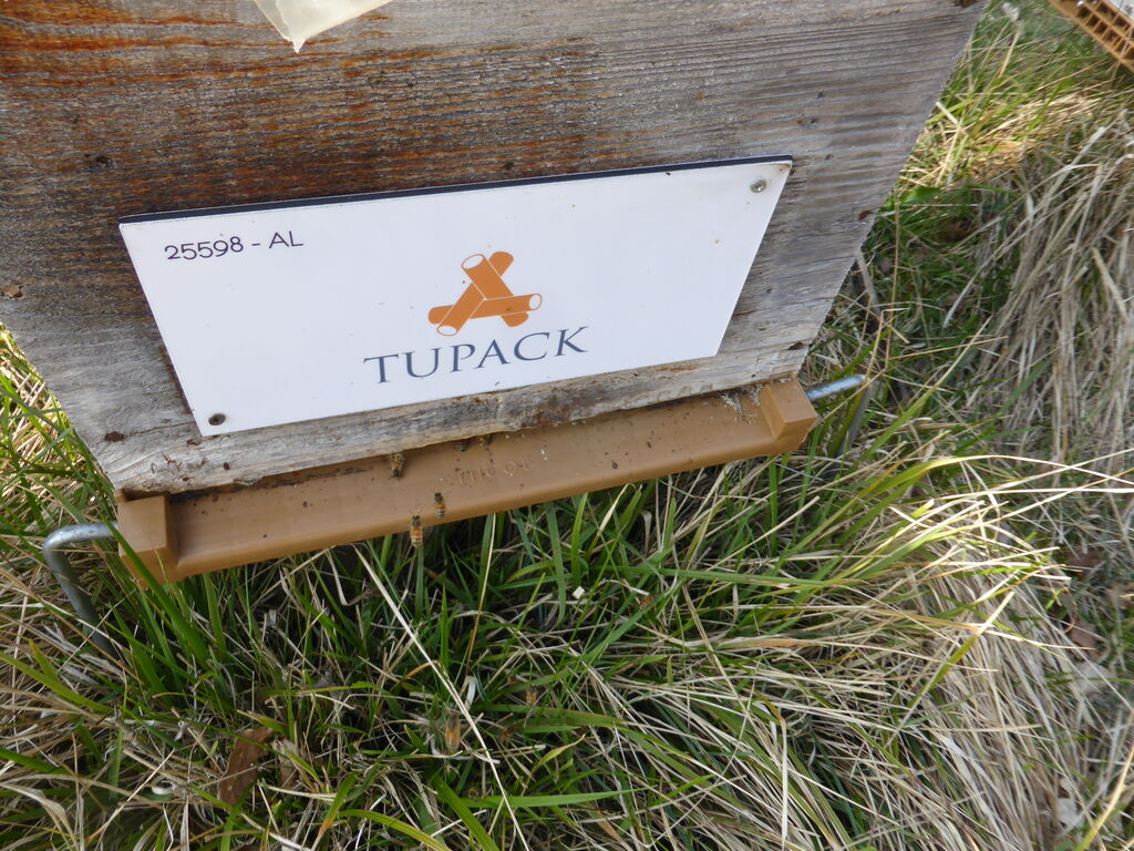La ruche ALLPACK - TUPAK