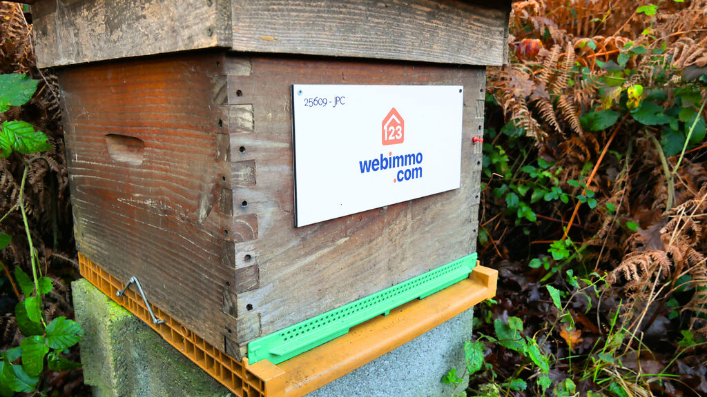 La ruche 123webimmo Trégor