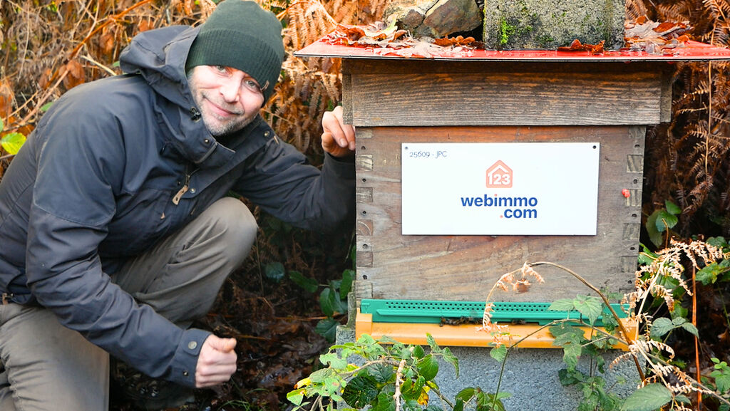La ruche 123webimmo Trégor